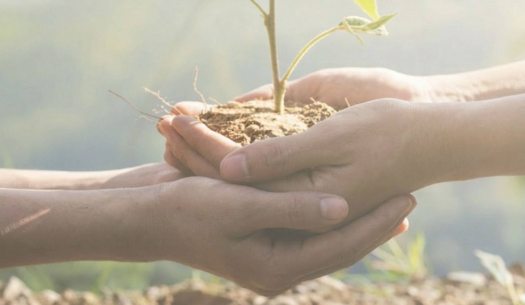 Materials in Works (MIW) – Driving Sustainable Packaging with RCP Solutions